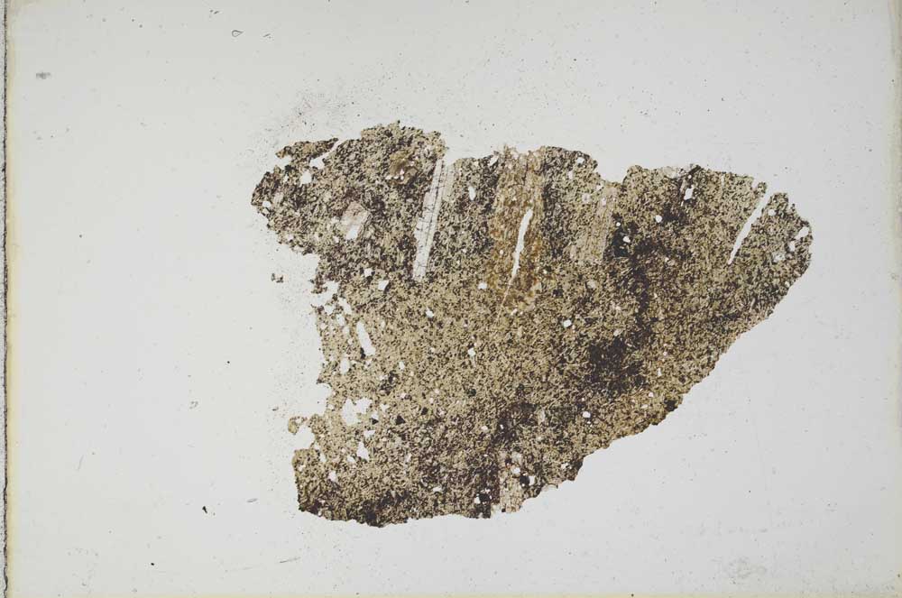 Plane Polarized, S10817