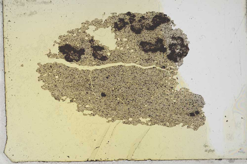 Plane Polarized, S10818