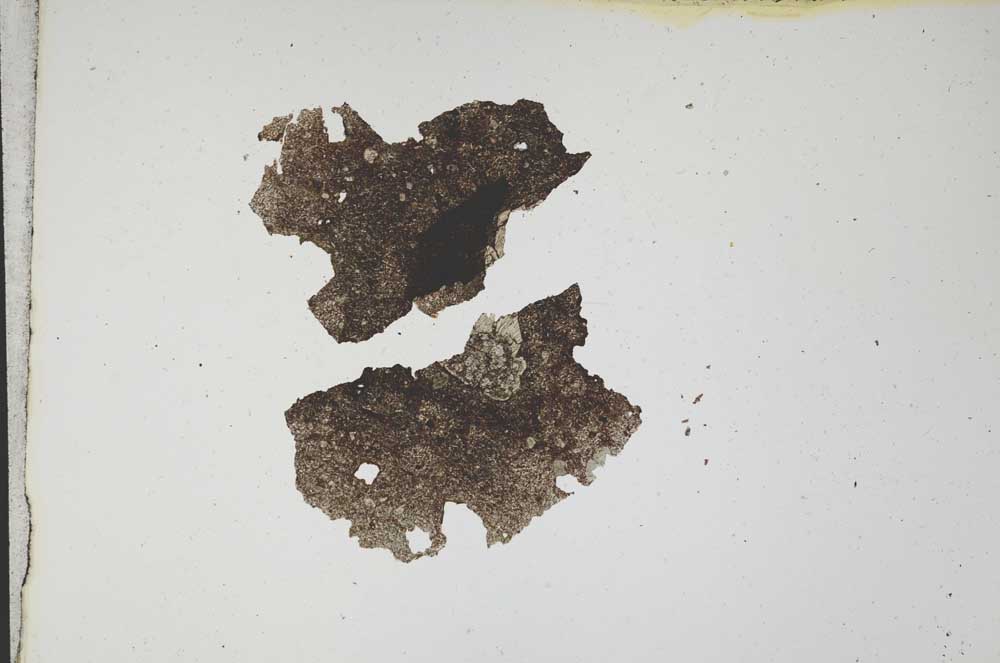 Plane Polarized, S10833