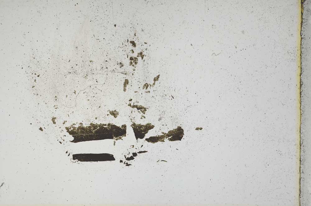 Plane Polarized, S10844
