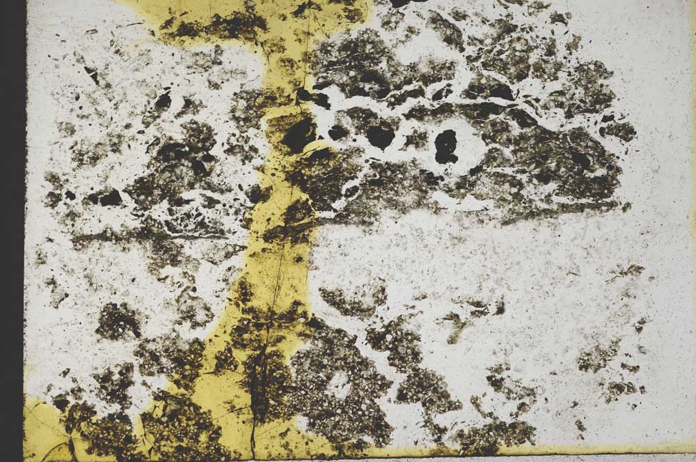 Plane Polarized, S10847