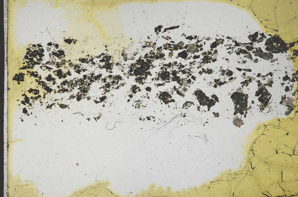 Plane Polarized, S10849