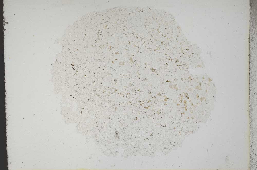 Plane Polarized, S10859