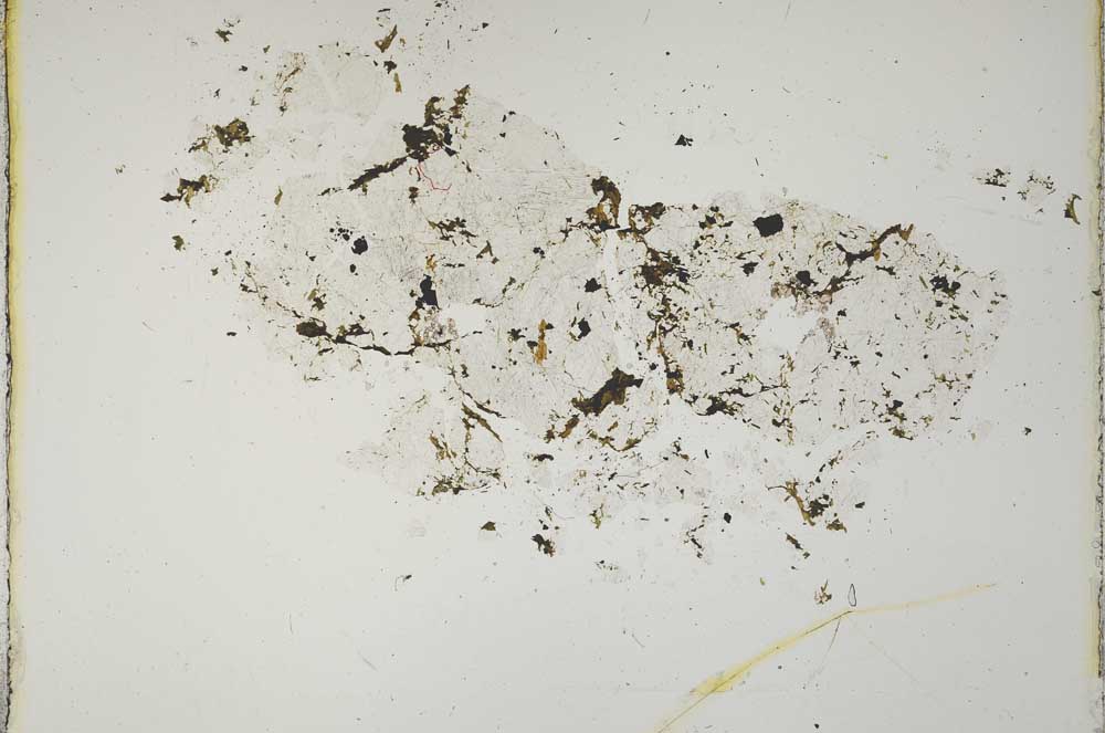 Plane Polarized, S10863