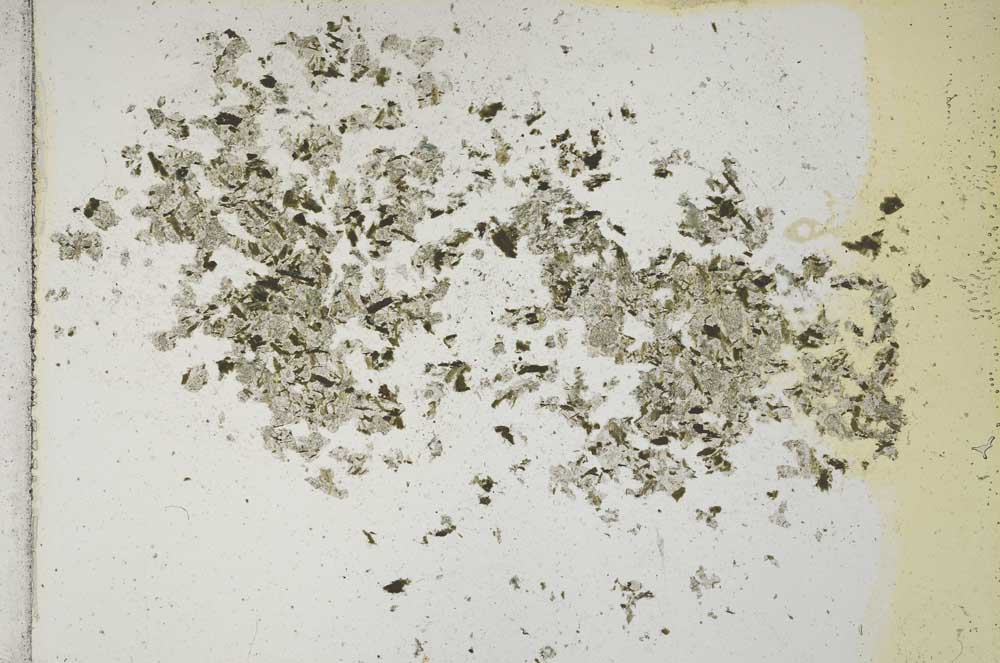 Plane Polarized, S10864