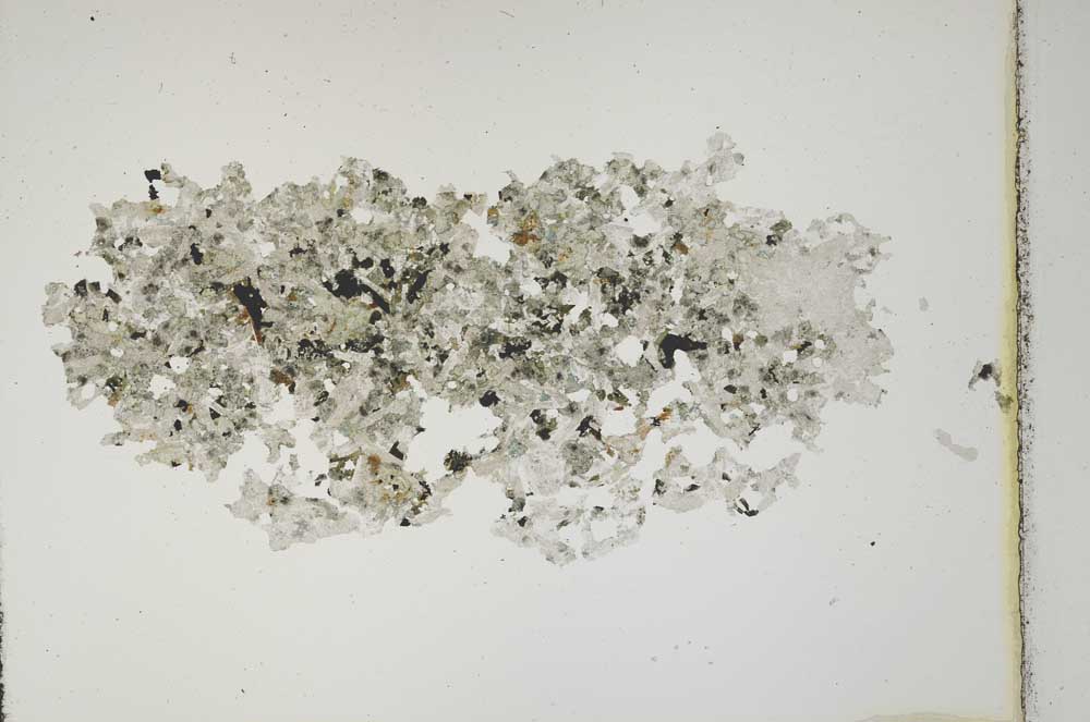 Plane Polarized, S10865