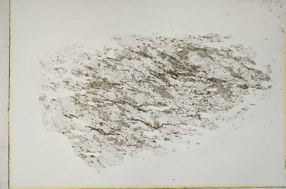 Plane Polarized, S10868