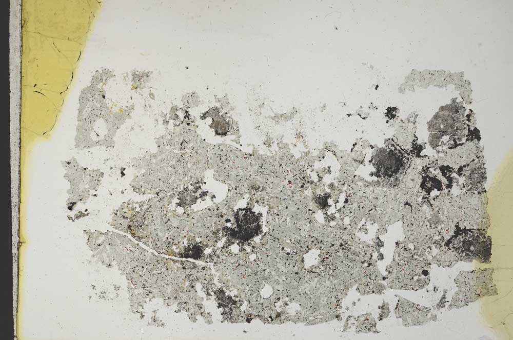 Plane Polarized, S10875