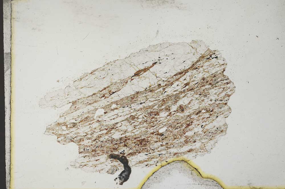 Plane Polarized, S10882