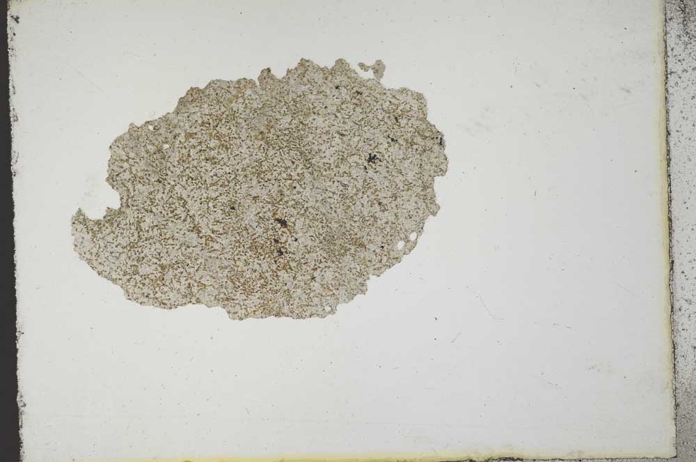 Plane Polarized, S10883