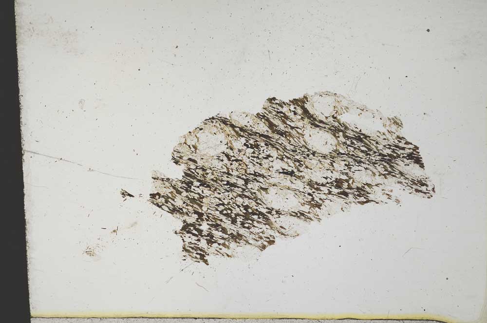 Plane Polarized, S10894