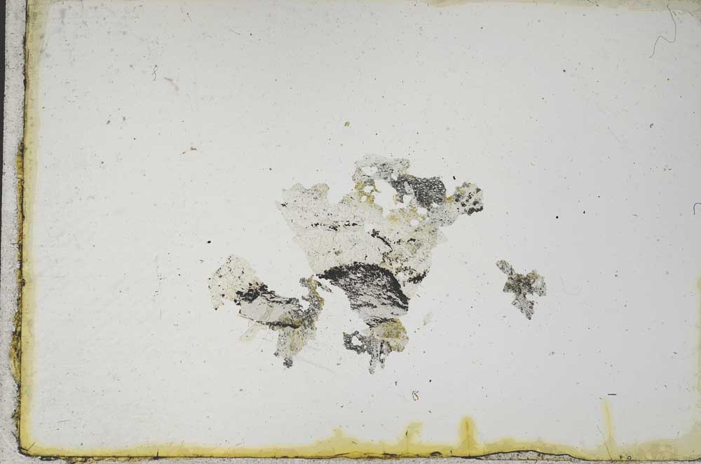 Plane Polarized, S10902