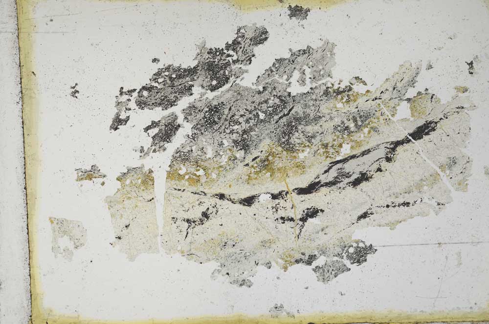 Plane Polarized, S10902/A