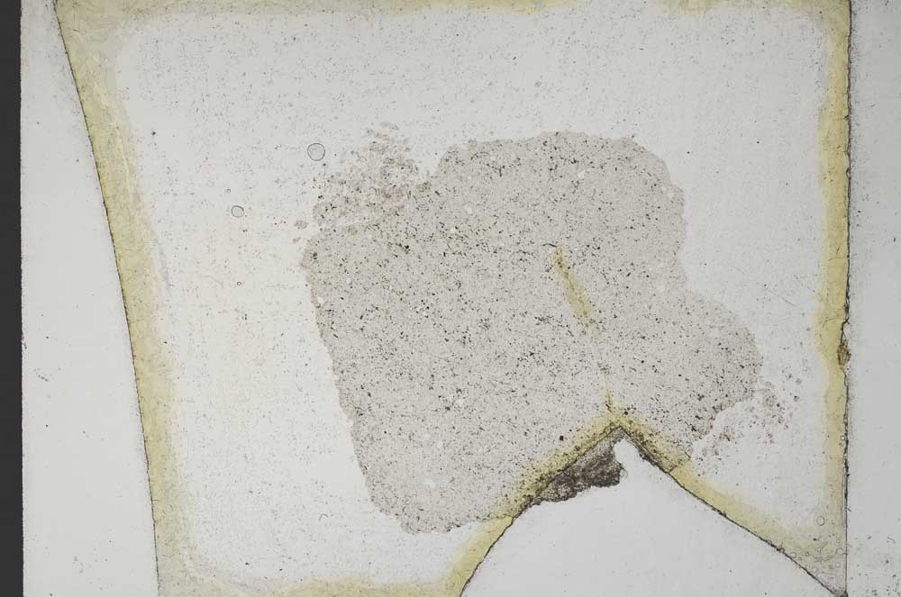 Plane Polarized, S10904