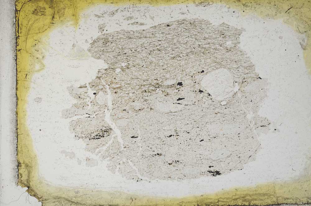 Plane Polarized, S10908