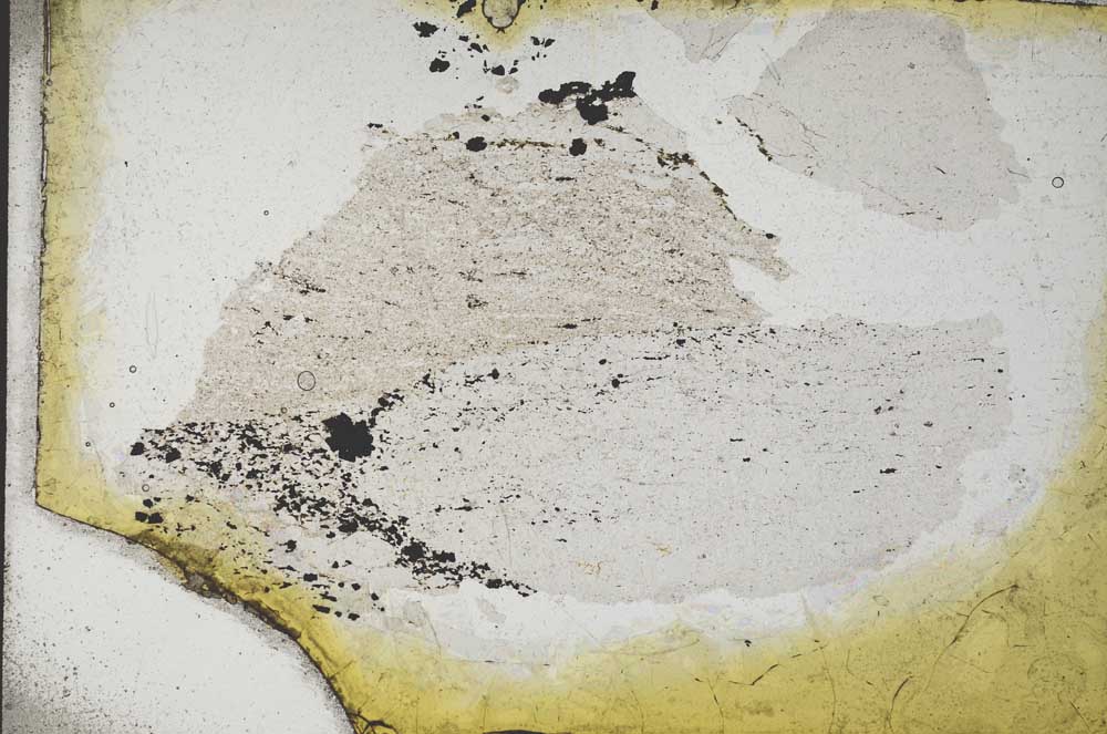 Plane Polarized, S10909