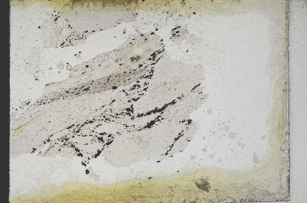 Plane Polarized, S10910