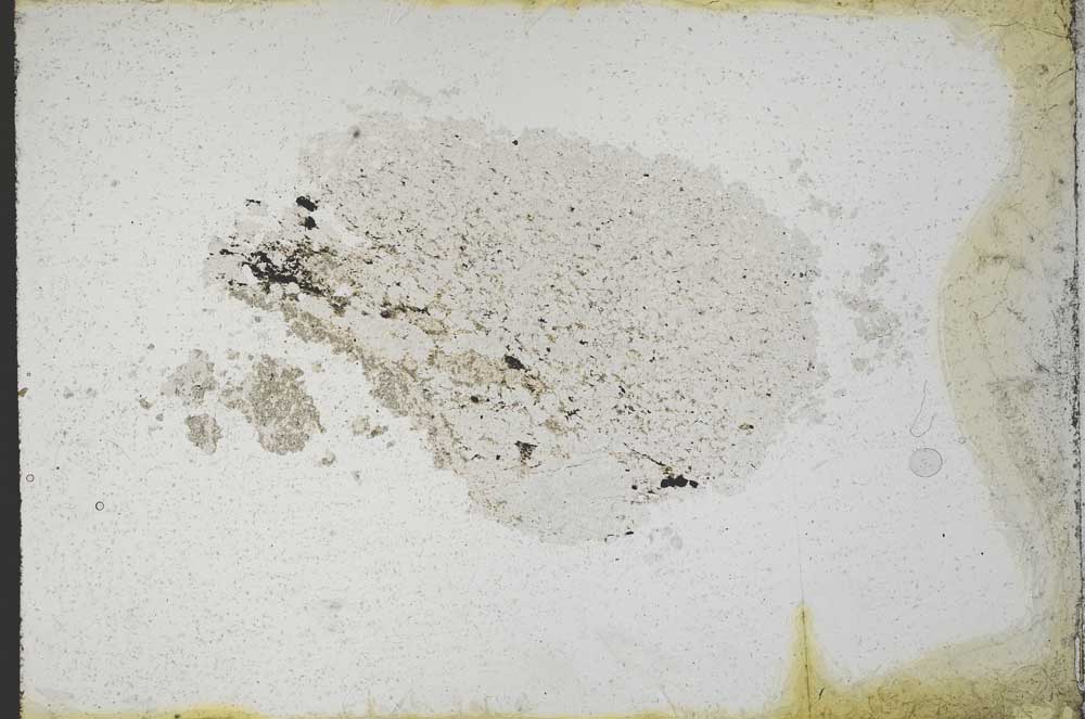 Plane Polarized, S10912