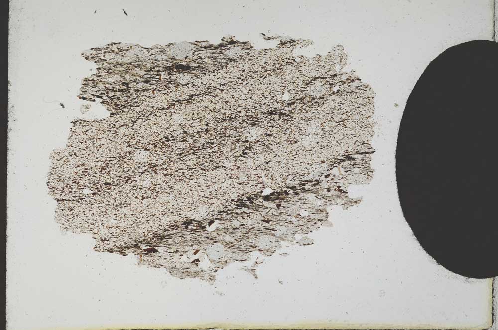 Plane Polarized, S10916