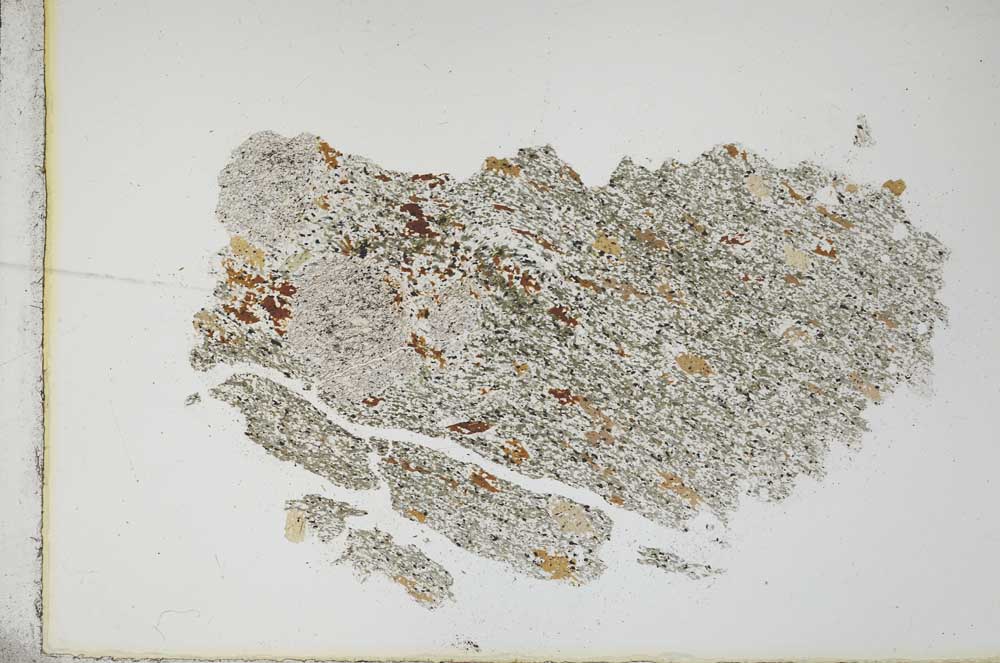 Plane Polarized, S10918