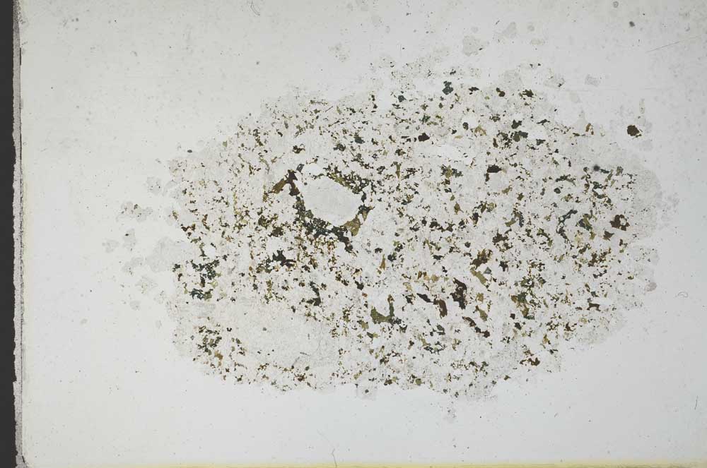 Plane Polarized, S10923