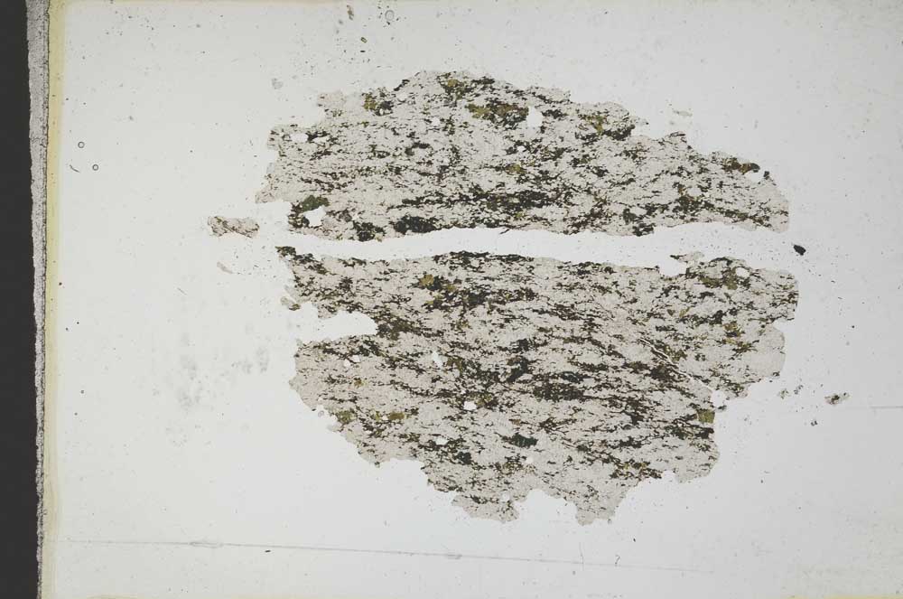 Plane Polarized, S10924