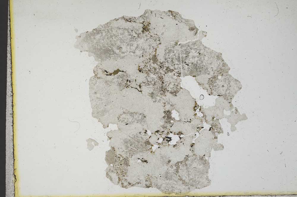 Plane Polarized, S10925