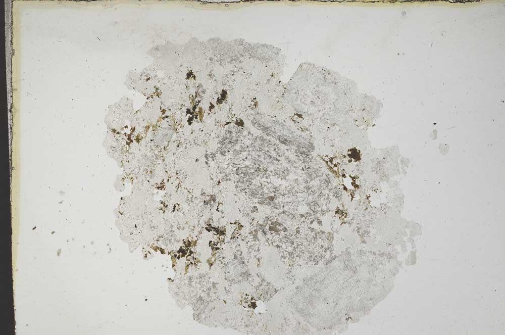 Plane Polarized, S10926