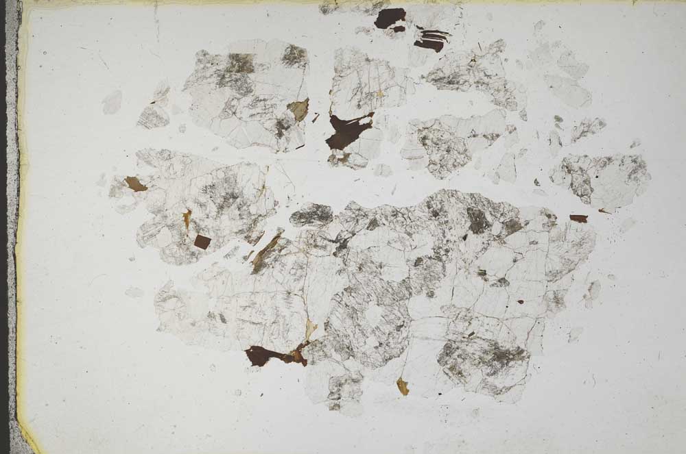 Plane Polarized, S10933