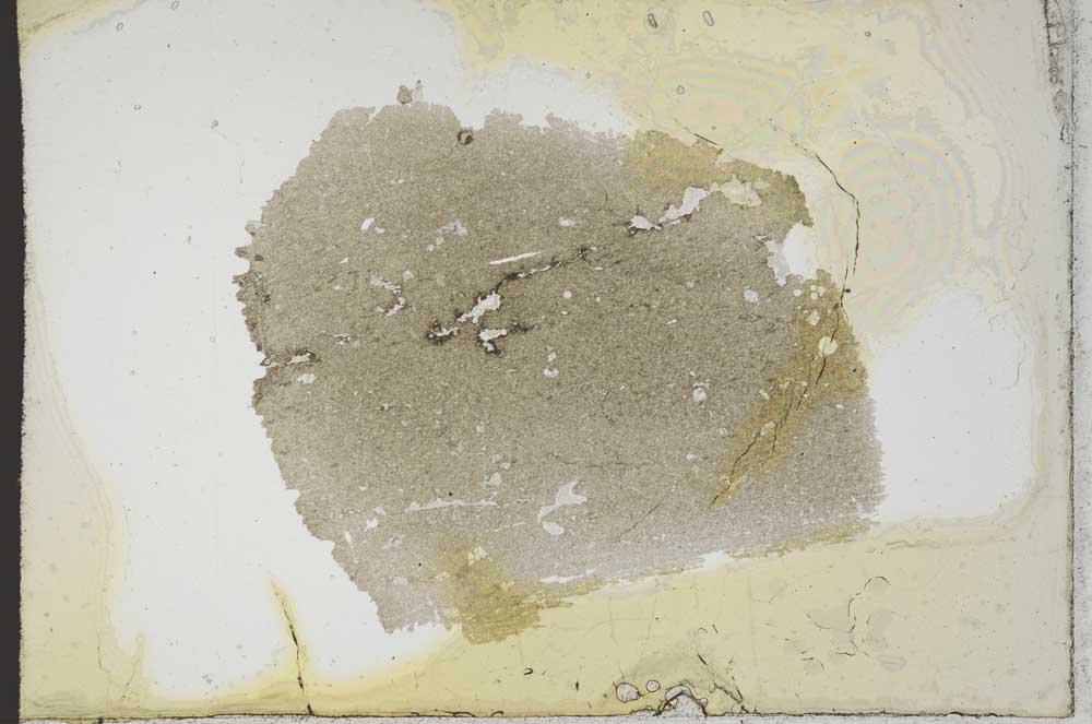 Plane Polarized, S10941