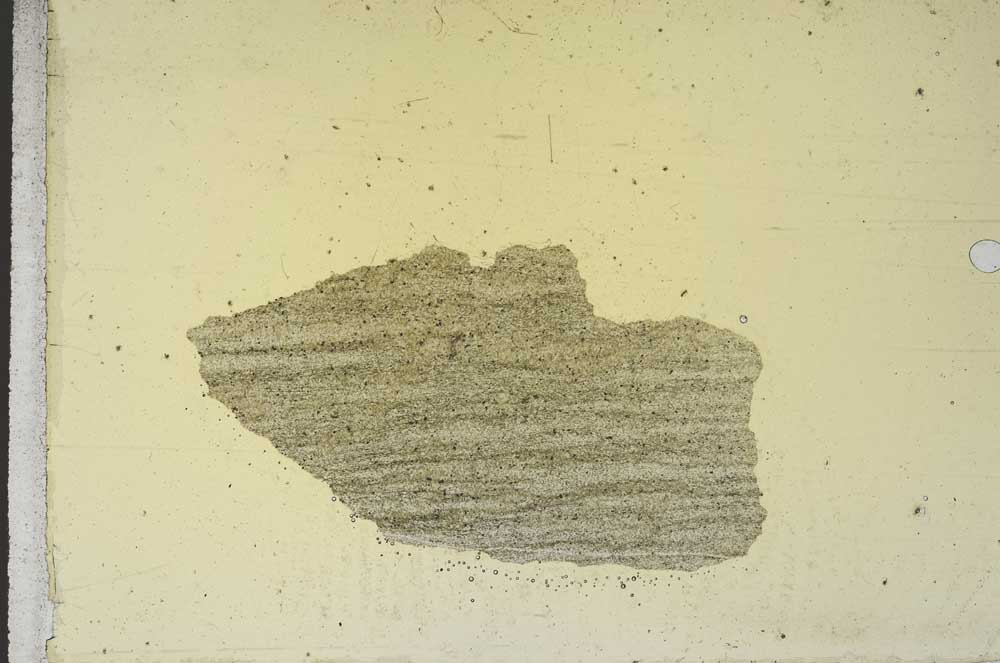 Plane Polarized, S10942/A