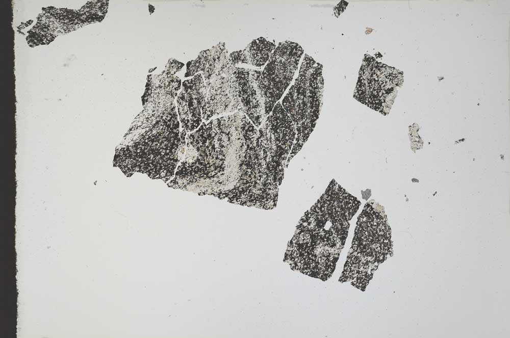 Plane Polarized, S10943/A