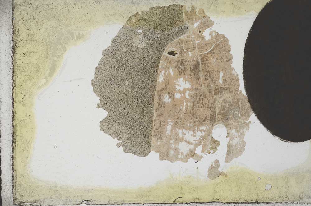 Plane Polarized, S10946