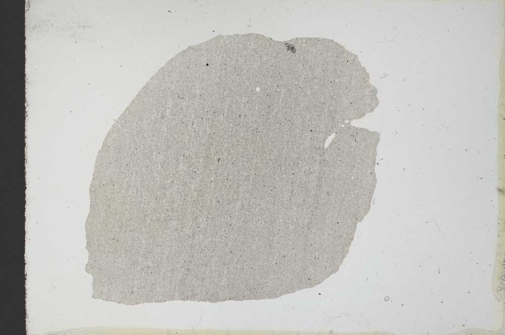Plane Polarized, S10947