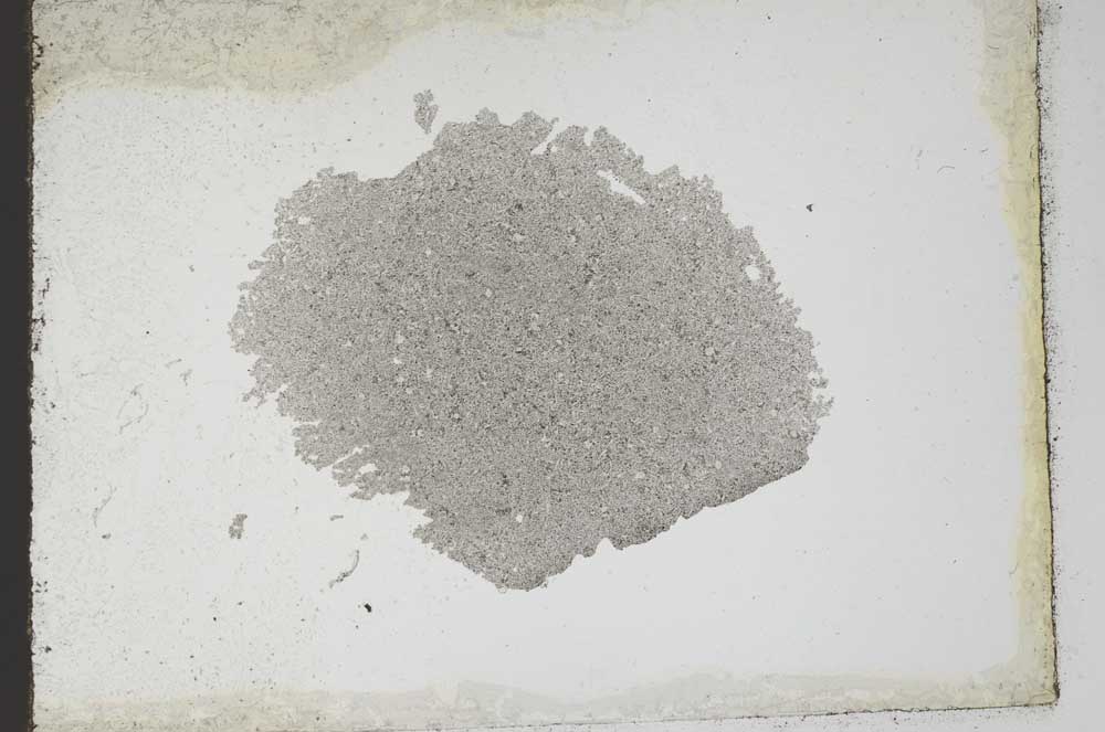 Plane Polarized, S10949