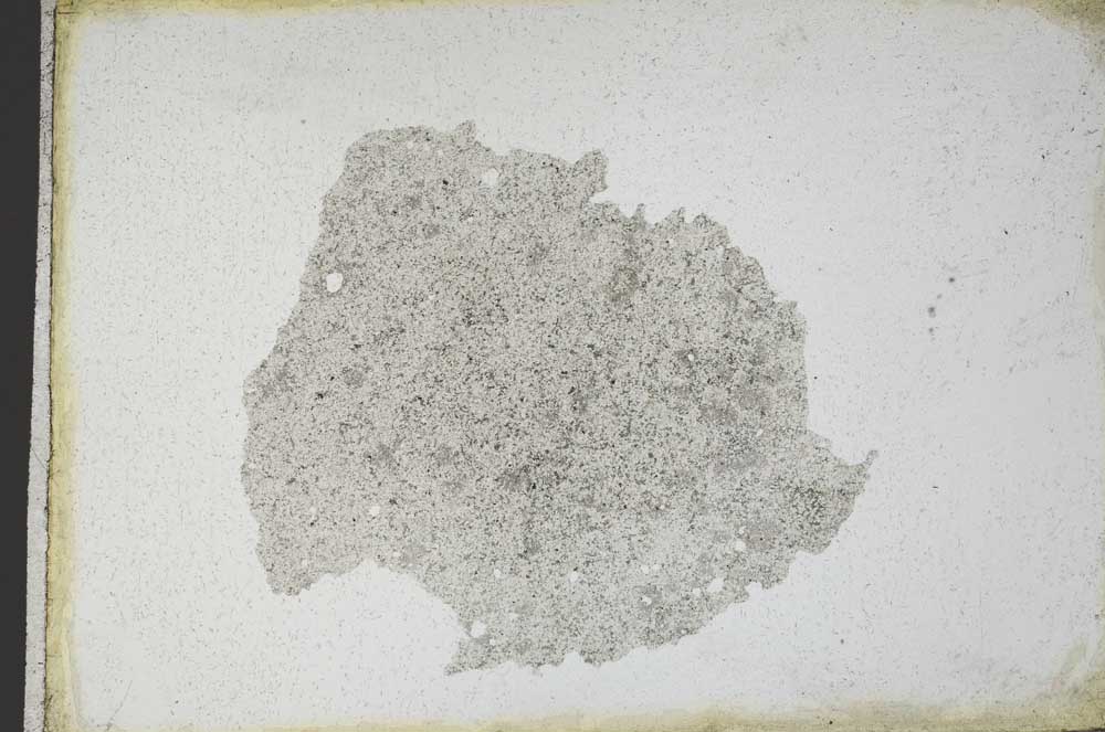 Plane Polarized, S10952