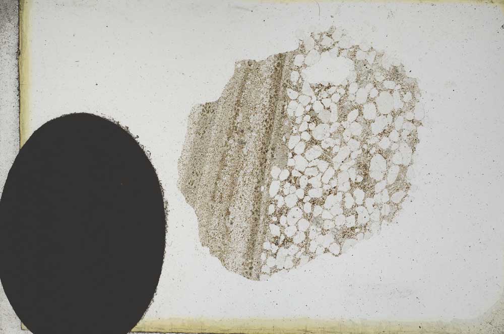 Plane Polarized, S10954