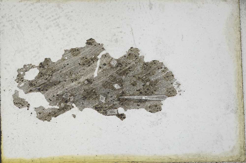 Plane Polarized, S10955