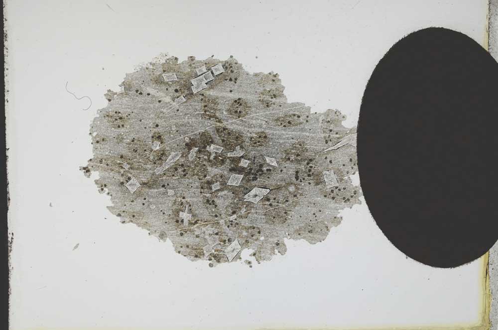 Plane Polarized, S10955/B