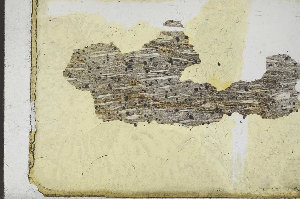 Plane Polarized, S10957