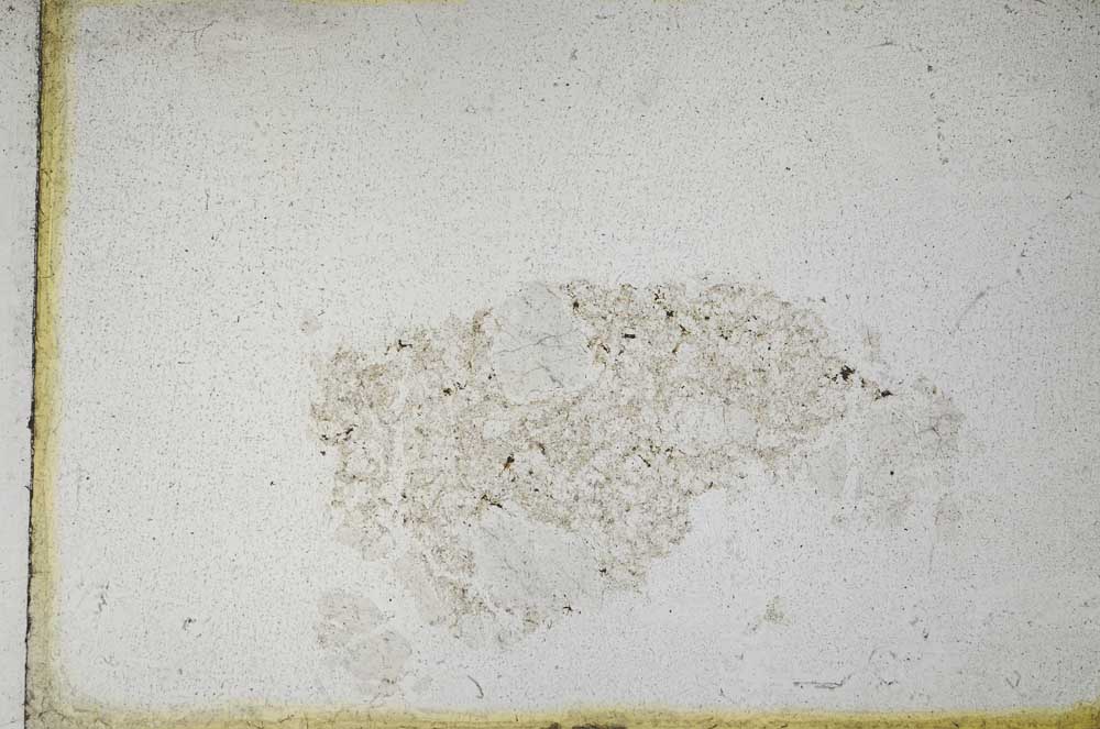 Plane Polarized, S10958