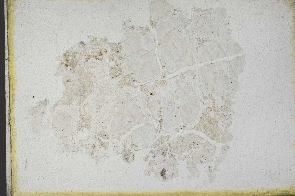 Plane Polarized, S10959