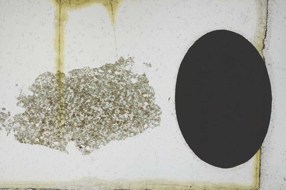 Plane Polarized, S10960