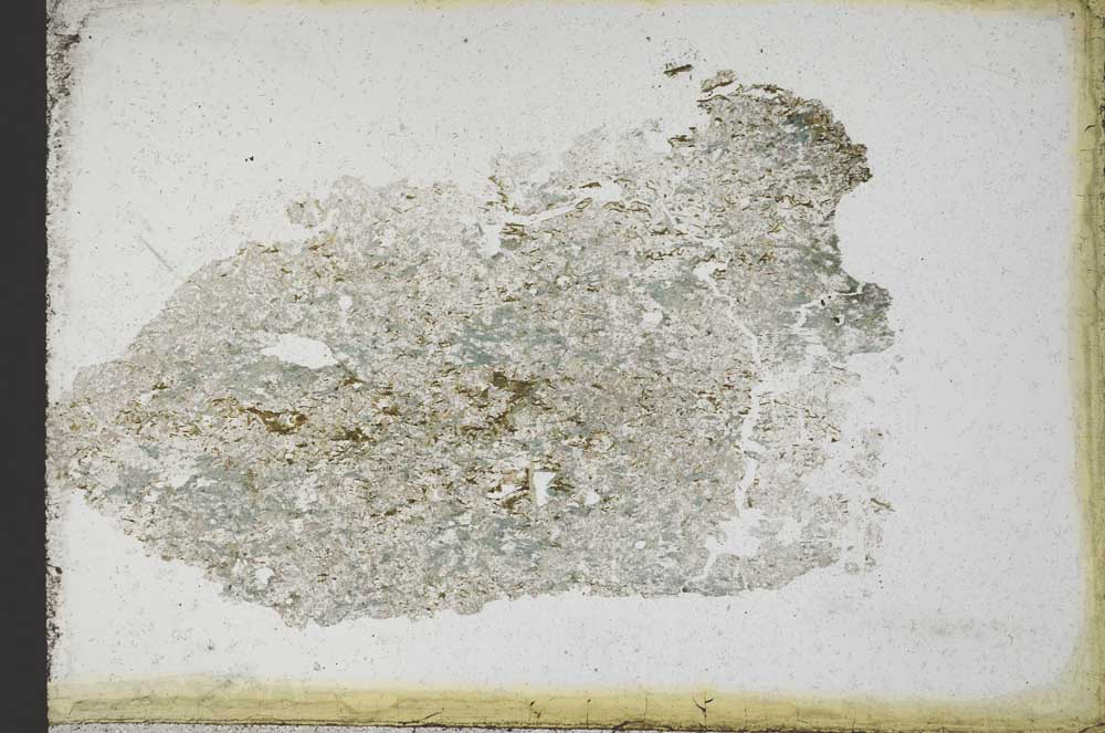 Plane Polarized, S10963