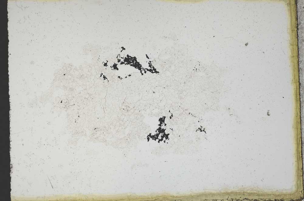 Plane Polarized, S10964