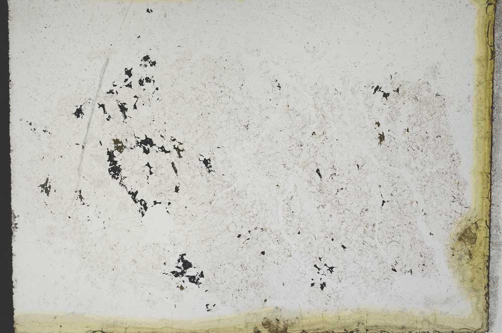 Plane Polarized, S10965