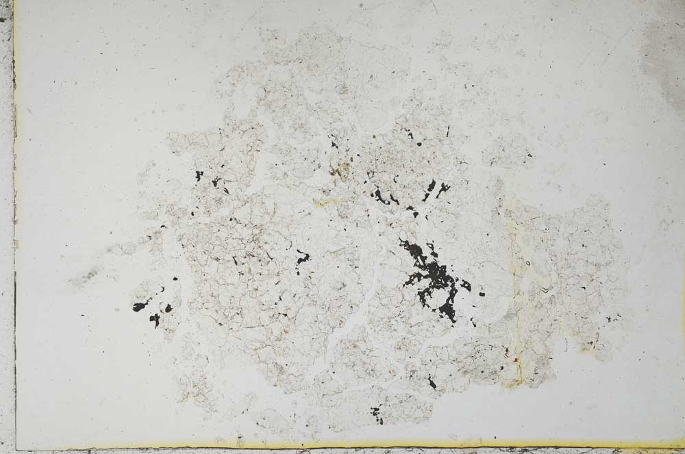 Plane Polarized, S10965/A