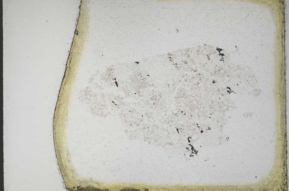 Plane Polarized, S10965/B