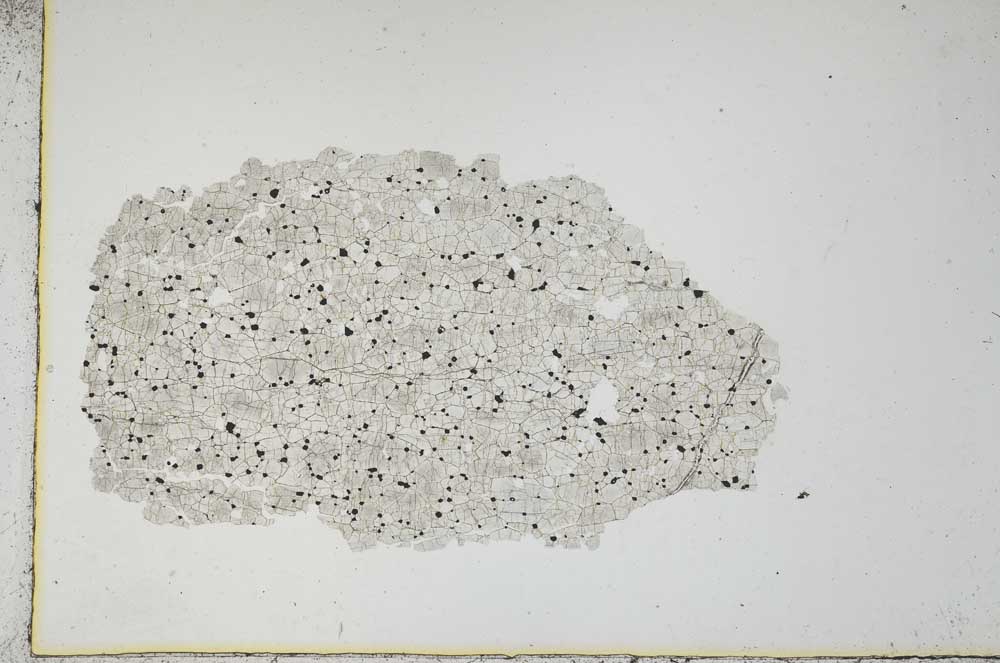 Plane Polarized, S10966
