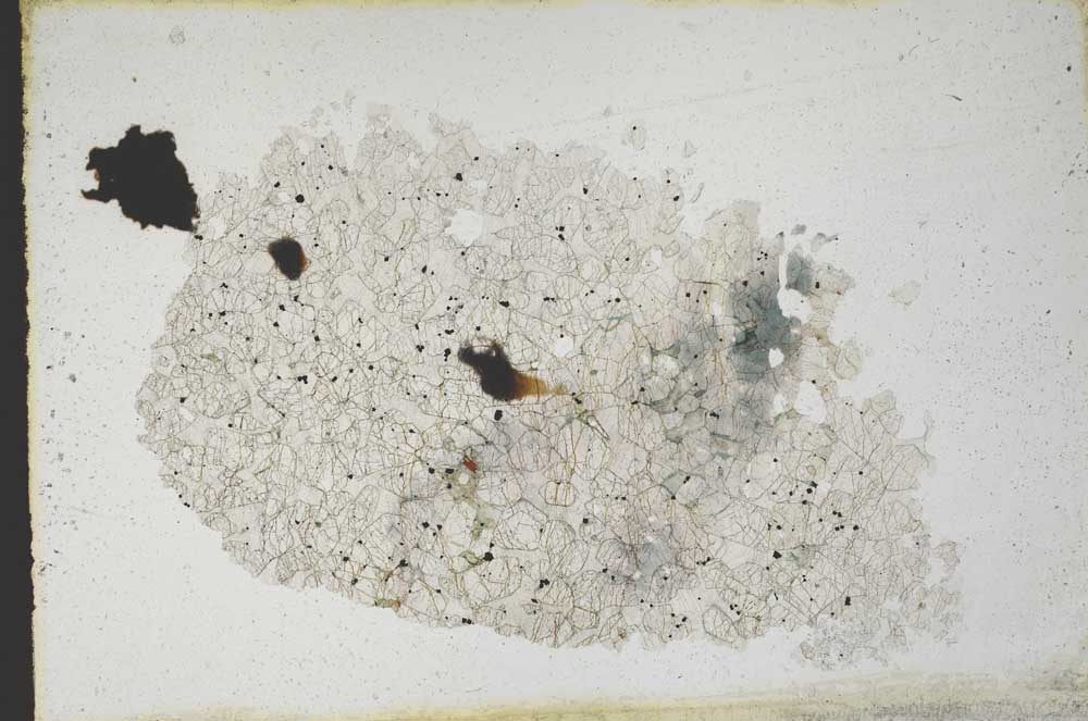 Plane Polarized, S10967